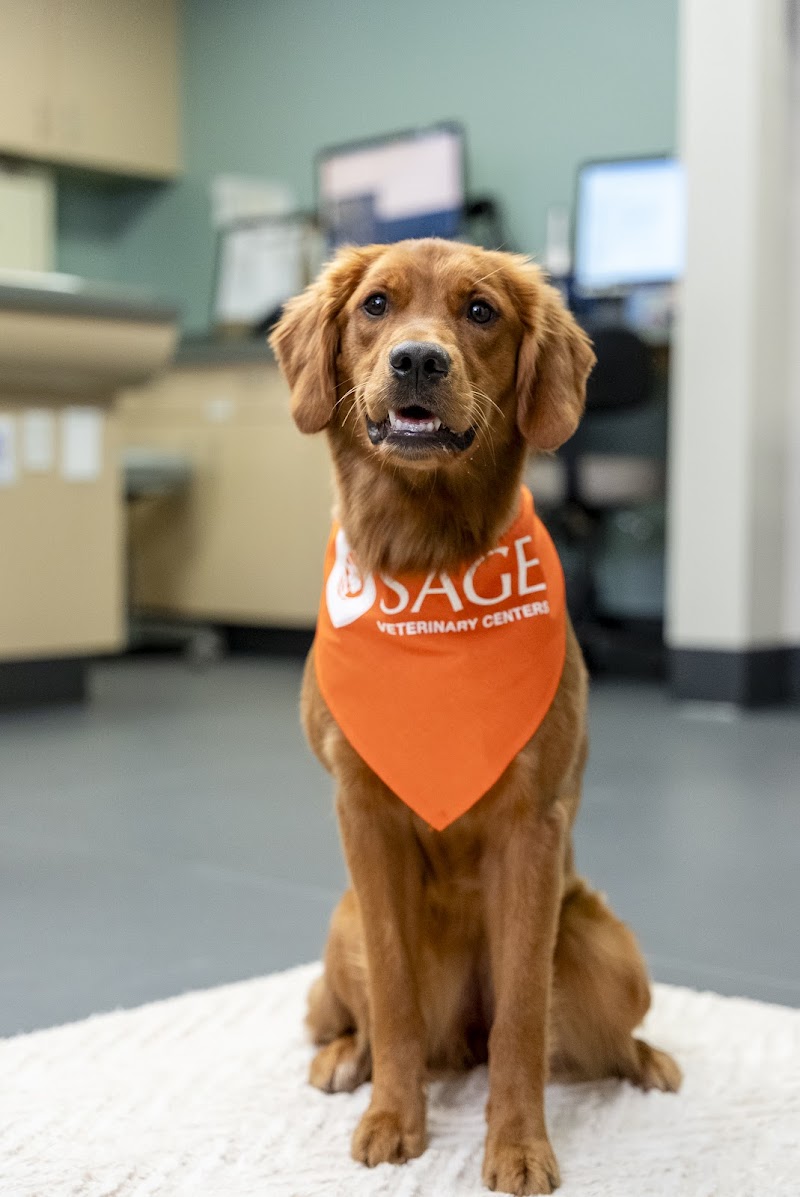 SAGE Veterinary Centers - Dublin