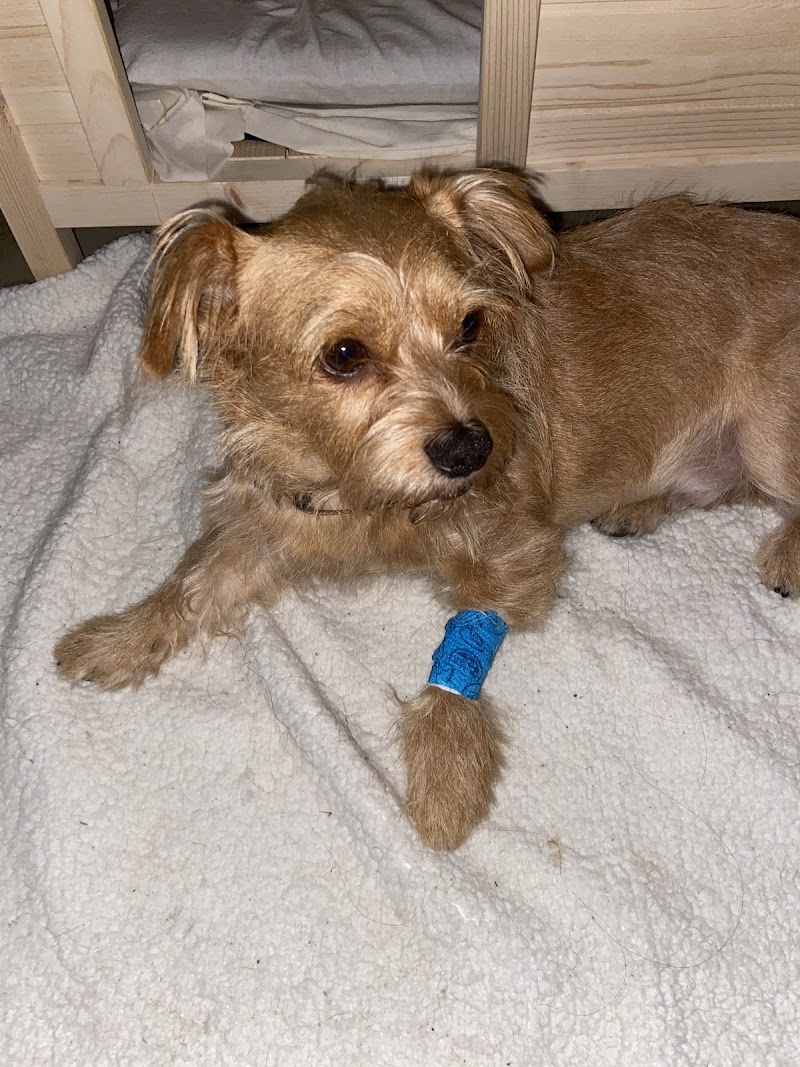 SAGE Veterinary Centers - Dublin