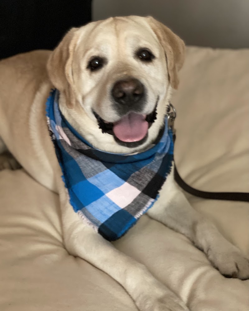 SAGE Veterinary Centers - Dublin