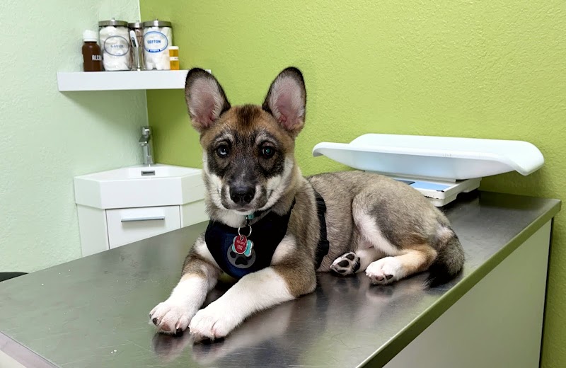 Miami Pet Clinic