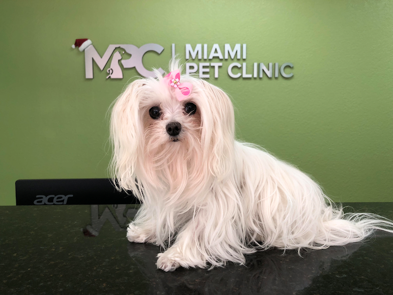 Miami Pet Clinic