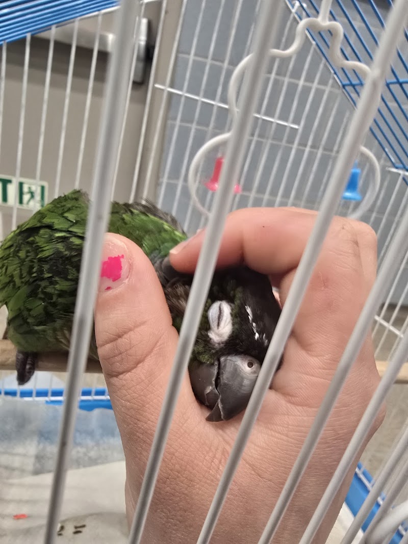 Animal Medical Center