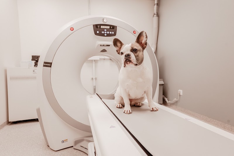 Veterinary Specialty Referral Center of Manhattan