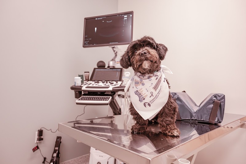 Veterinary Specialty Referral Center of Manhattan