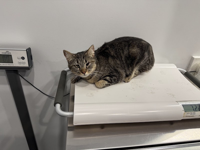 Los Angeles Veterinary Center